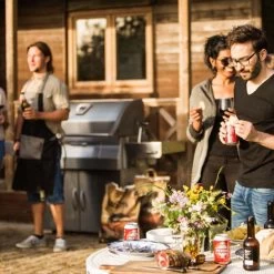 Napoleon Barbecue Charbon Avec Couvercle Napoléon Pro 605 -Weber Boutique barbecue charbon napoleon pro 605 13