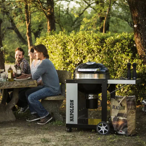 Napoleon Barbecue Charbon Avec Couvercle Napoléon Rodeo Pro Sur Chariot 12 Napoleon Barbecue Charbon Avec Couvercle Napoléon Rodeo Pro Sur Chariot – Image 10