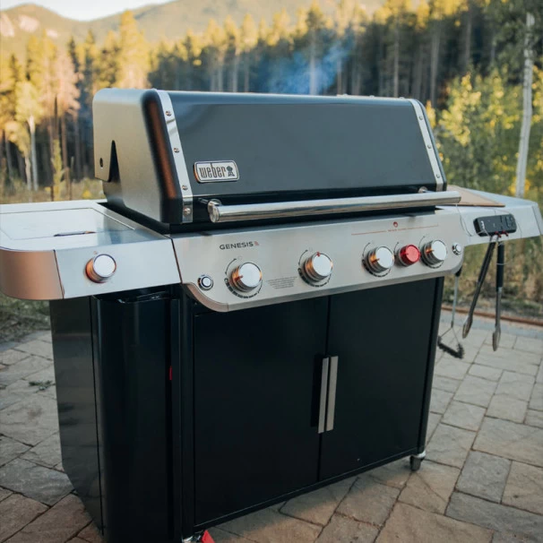 Barbecue Gaz Weber Genesis EX-435 4 Brûleurs 17 Barbecue Gaz Weber Genesis EX-435 4 Brûleurs – Image 15